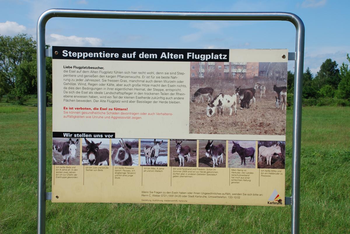 Infotafel zur Beweidung