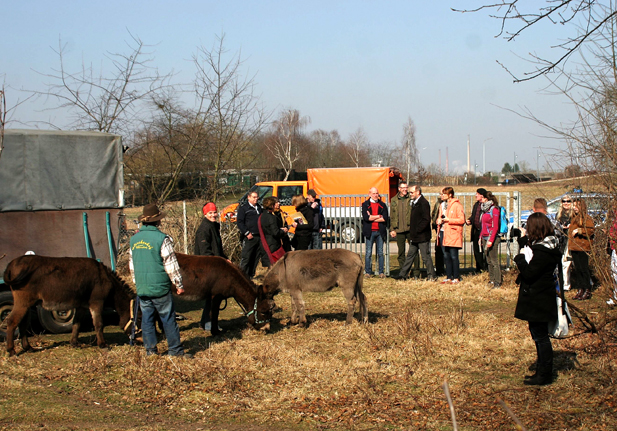 Empfang der neuen Herde im März 2015